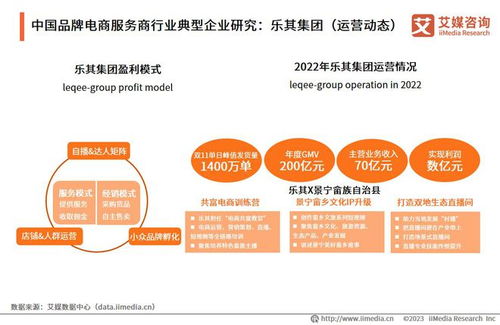 2023年中國(guó)品牌電商服務(wù)商行業(yè)研究報(bào)告 信息技術(shù)咨詢服務(wù)的機(jī)遇與挑戰(zhàn)