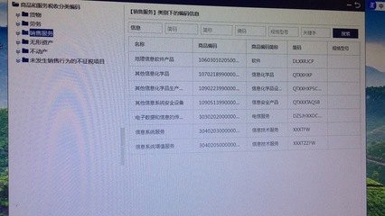 個體工商戶開具發票時，信息技術咨詢服務與信息系統服務的區別